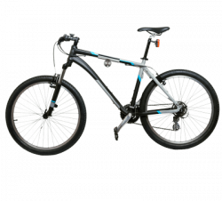Bike Systeme Fahrradhalter 3 mit Rad